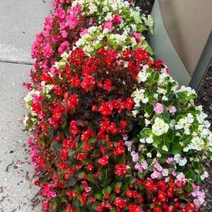 Meet your Posher, Marisol